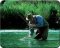 Caza y pesca en De puertas al campo