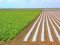 Gonzalo Arguilé repasa la actualidad de la agricultura y la ganadería en De puertas al campo